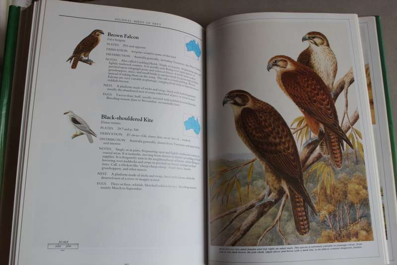 What bird is that? / Neville William Cayley