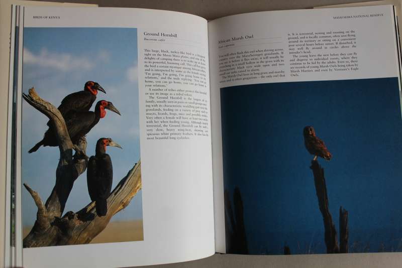 Birds of Kenya, a celebration - Dave Richards