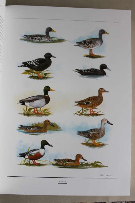Birds of Southern Africa, The Sasol Plates Collection