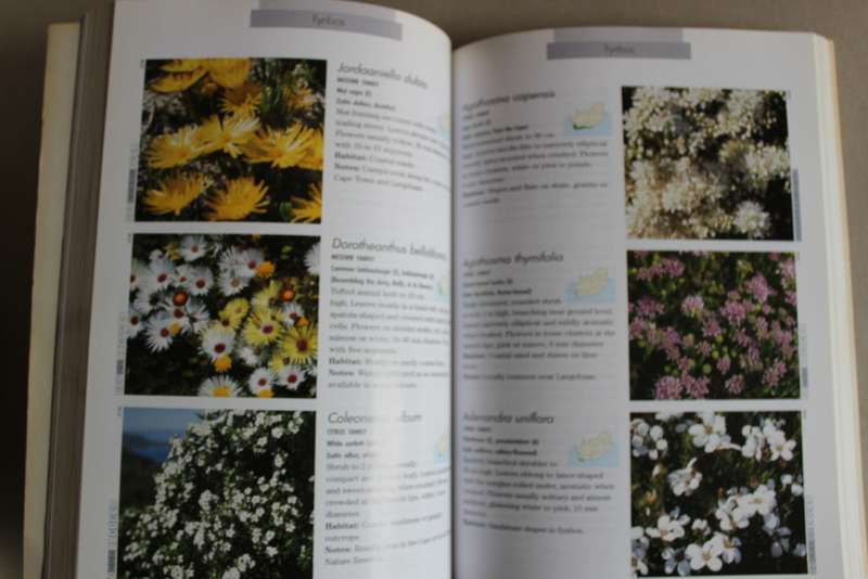 Photographic Guide to the Wildflowers of South Africa - Manning, John