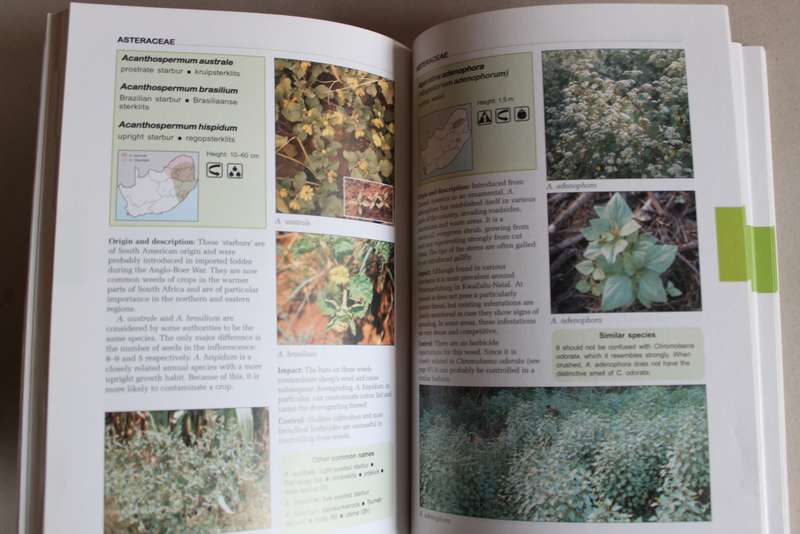 Problem Plants of South Africa - Clive Bromilow
