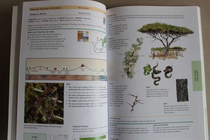 Sappi tree spotting, Lowveld including Kruger National Park