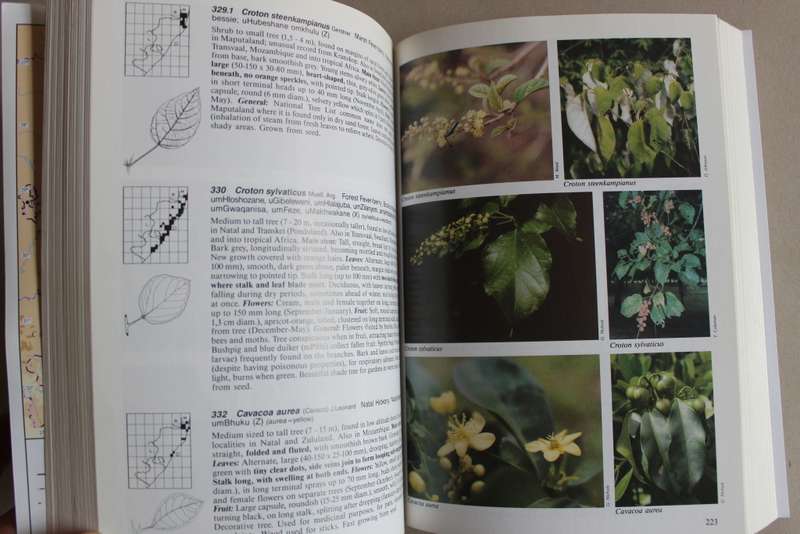 The Complete Field Guide To The Trees of Natal Zululand and Transkei - Elsa Pooley