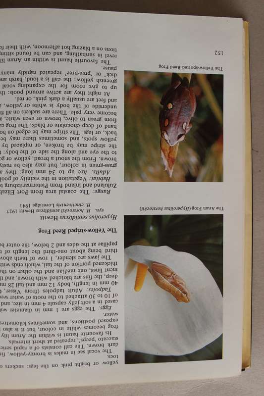 FROGS of SOUTH AFRICA their fascinating life stories - Wager