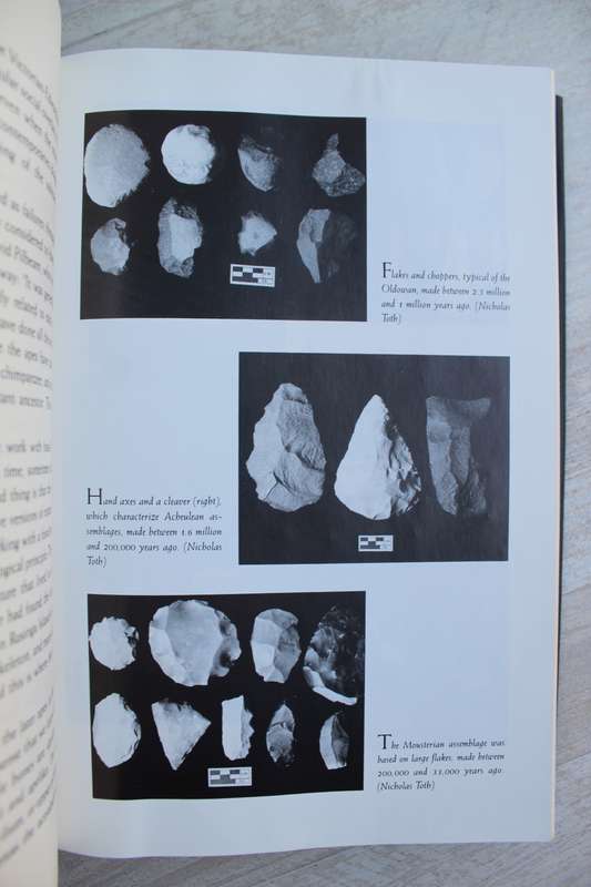 Origins Reconsidered By Richard Leakey & Roger Lewin