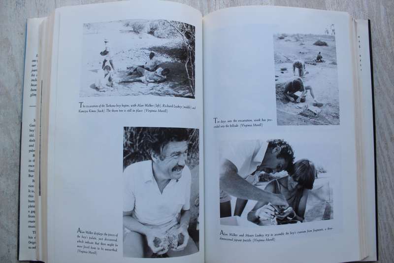 Origins Reconsidered By Richard Leakey & Roger Lewin