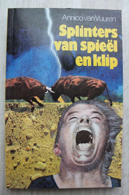 Splinters van spieel en klip - Annico van Vuuren