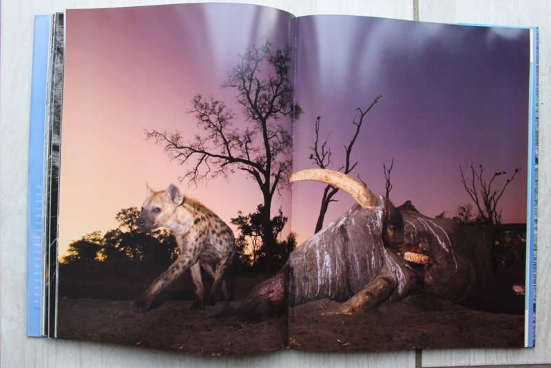 Planet Okavango / Hannes Lochner