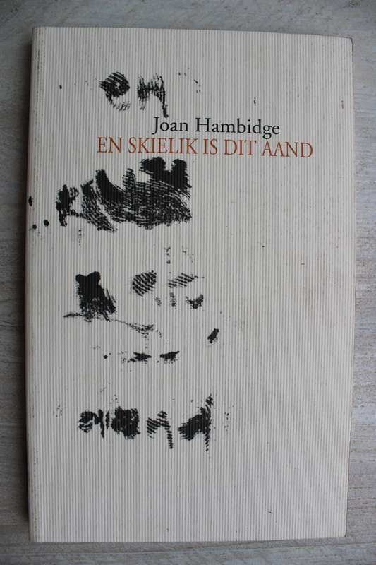 En skielik is dit aand - Joan Hambidge