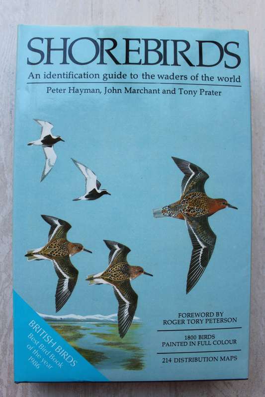 Shorebirds -Identification guide to waders of the world / Hayman