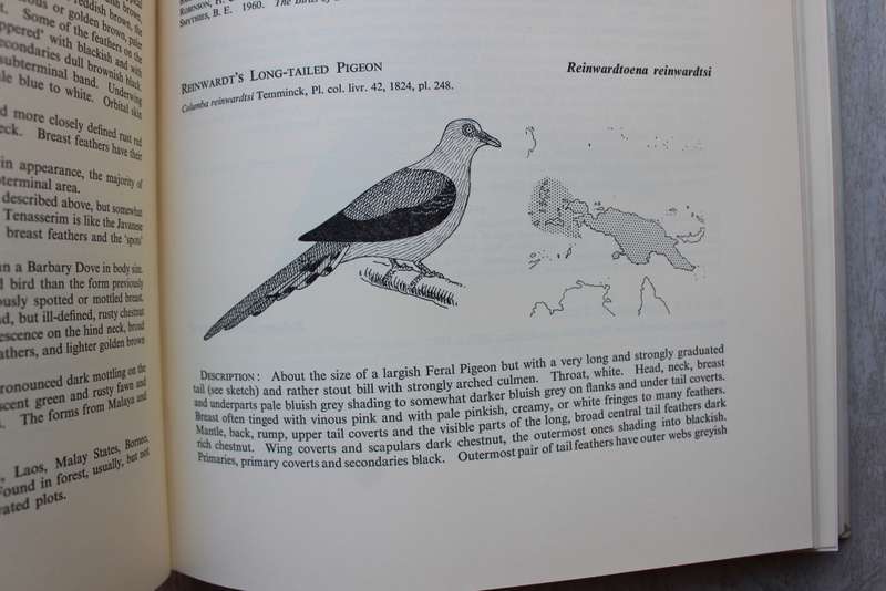 Pigeons and Doves of the world / Goodwin