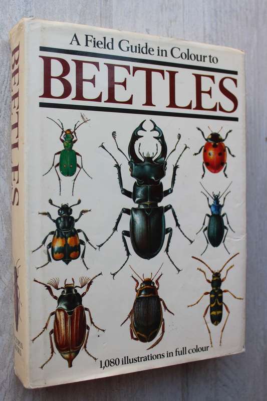 A Feild Guide in clour to Beetles