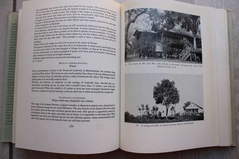 Trees Of Southern Africa - Palmer & Pitman