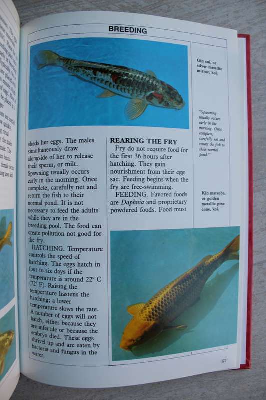 The Professional`s Book of Koi - Barrie