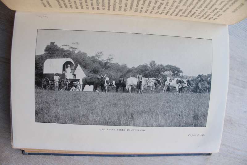 Storm and Sunshine in South Africa -  Rosamond Southey