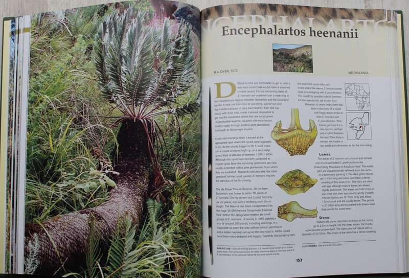 Cycads of Africa - Doyglas Goode