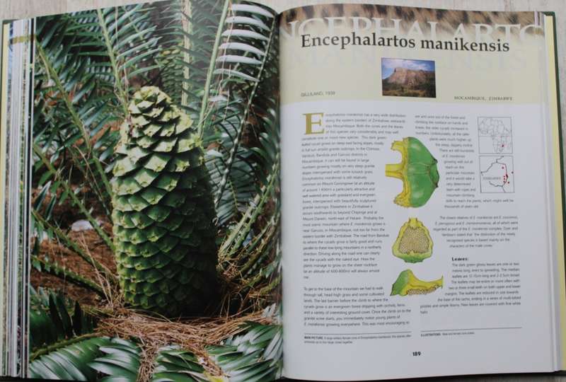 Cycads of Africa - Doyglas Goode