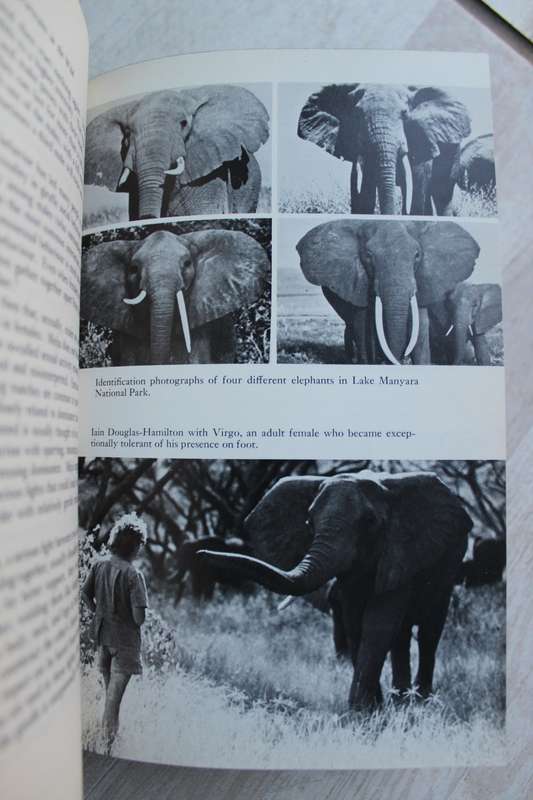 Portraits in the Wild - Animal Behaviour in East Africa - By Cynthia Moss