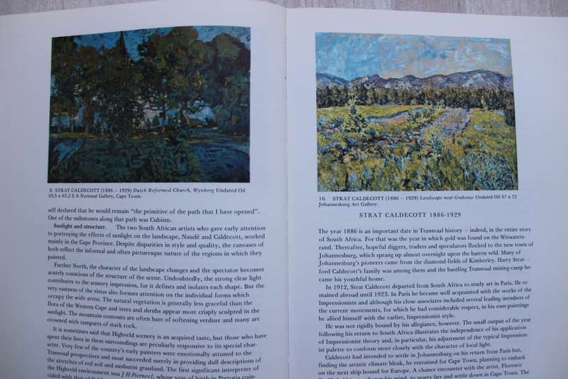 The Story of South African Painting - Berman