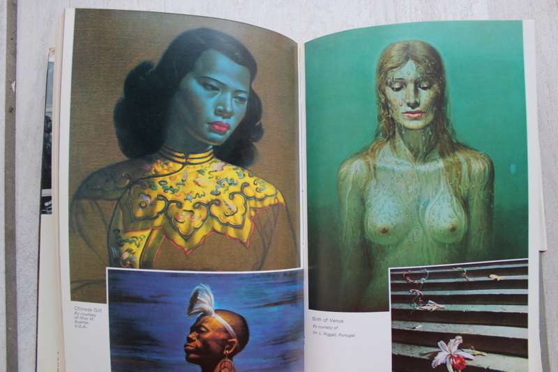 Pigeon`s Luck - Vladimir Tretchikoff