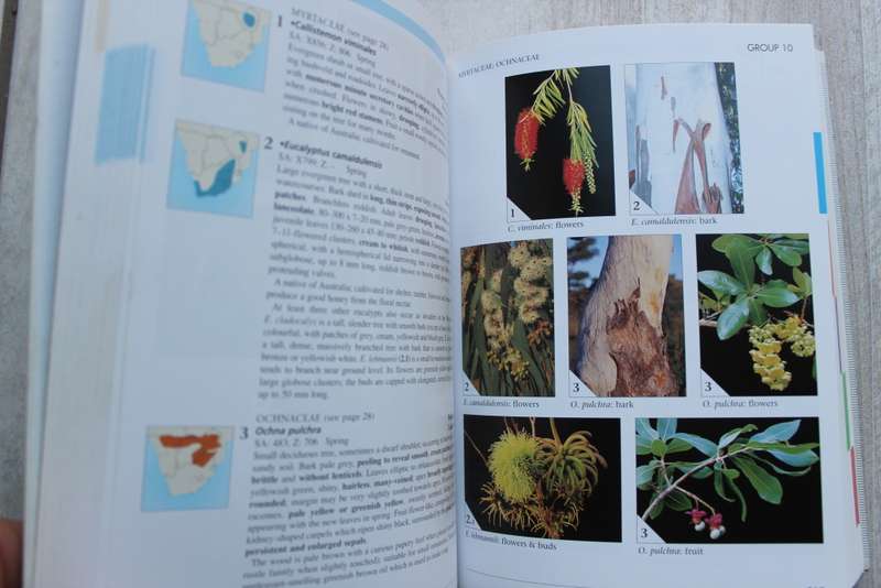 Field guide to Treess of South Africa - Van Wyk