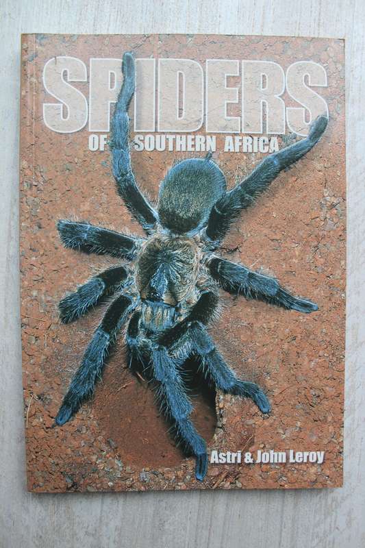 Spiders of Southern Africa - Leroy
