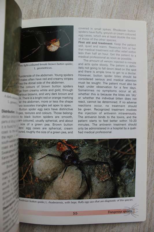 Spiders of Southern Africa - Leroy