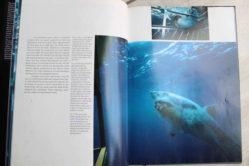 Sharks Myth and Reality - Cafiero & Jahoda