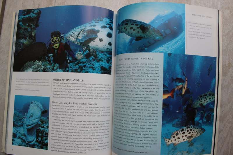 Diving with sharks and other adventure dives. Jack Jackson