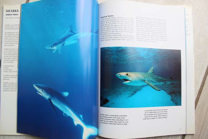 Sharks : A Portrait of the Animal World -  Andrew Cleave