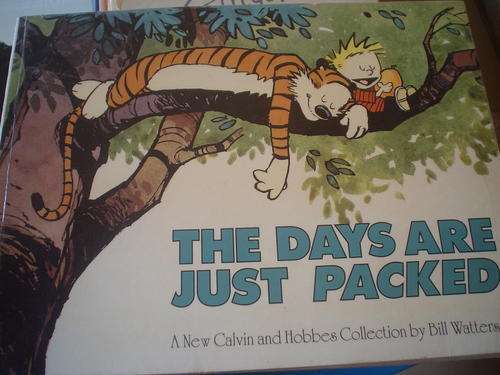 The days are just packed - Calvin & Hobbes Collection