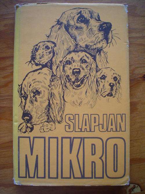 Slapjan - Mikro