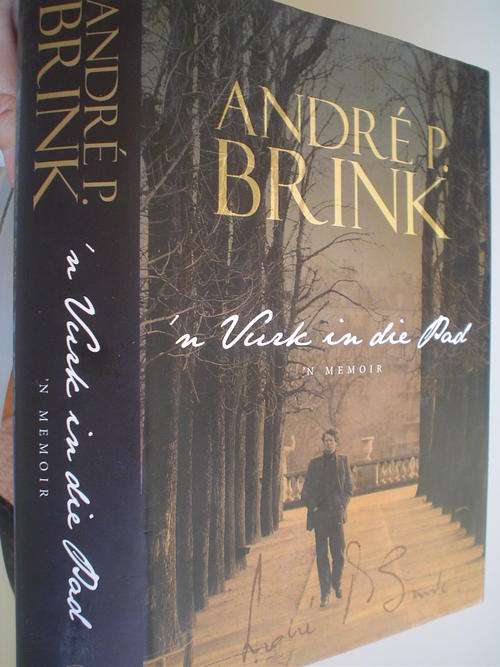 'n Vurk in die pad - Andre Brink