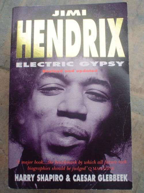 Jimi Hendrix electric gypsy - Shapiro & Glebbeek