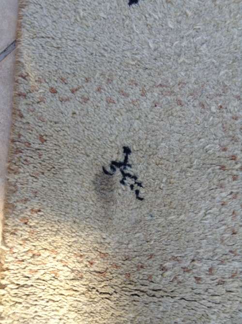 Gabbeh sholly Persian runner in creams