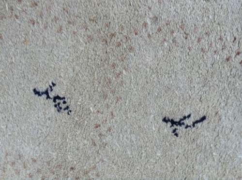 Gabbeh sholly Persian runner in creams