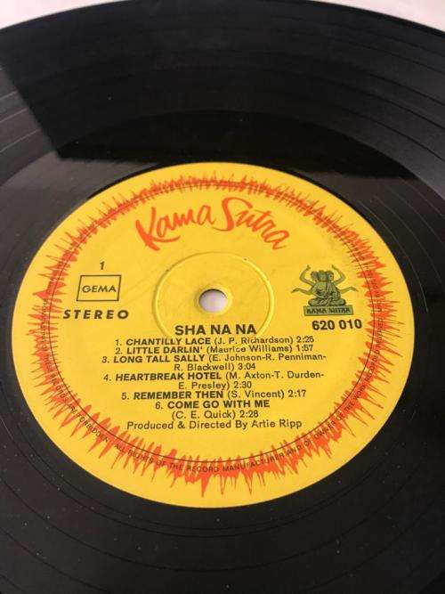 SHA NA NA - Rock & Roll Is Here To Stay! (1969) LP - Germany Press Vinyl NM