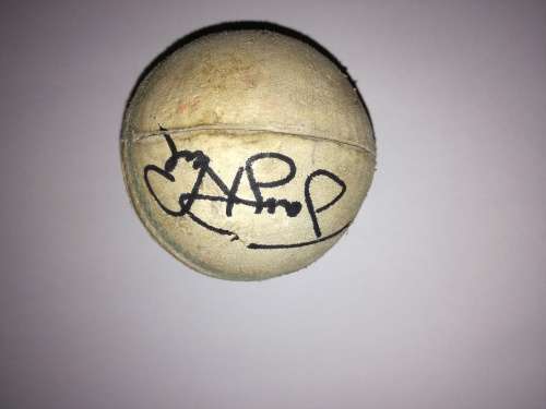 T20 Cricket ball signed by Jonty Rhodes