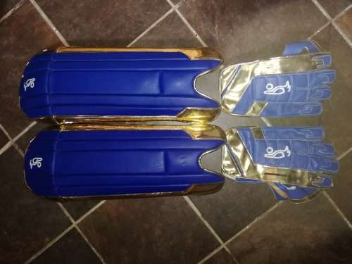 Josh Buttlers wicket keeper gloves and pads(IPL10)