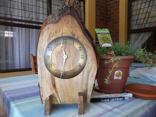 Stinkwood 50cm high & 28cm wide