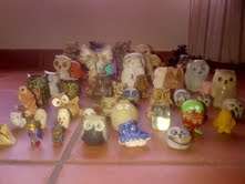 51 Assorted Owls