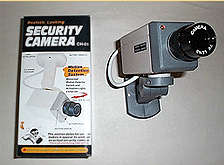 Realistic Looking - Simulated Outdoor Security Camera