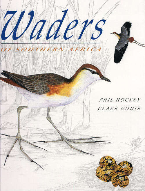 Waders of Southern Africa