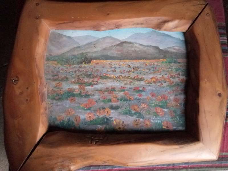 Antonia Velissariou Namaqualand painting