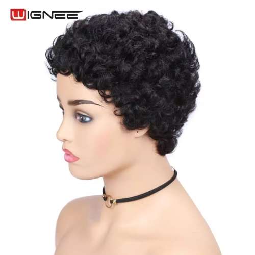 Brazilian Dry perm wig