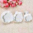 Rose Flower Fondant plunger Cutter