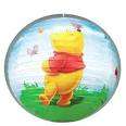 Winnie the pooh ceiling lantern