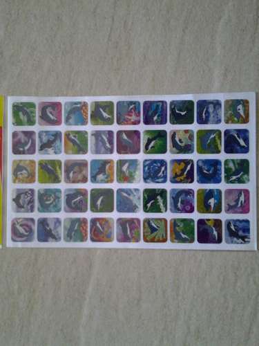 Dolphin sticker sheet