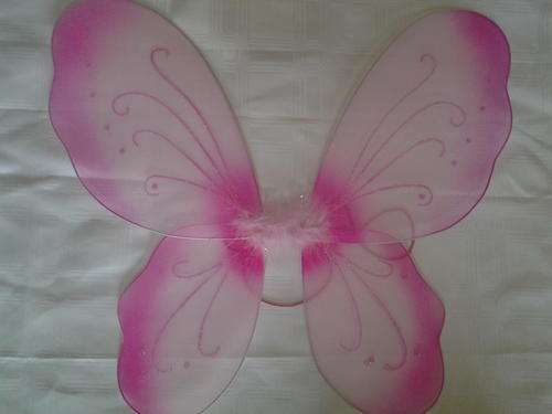 Fairy Wings