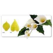 Fondant arum lily85x115mm  and leaf  100x155mm cutter